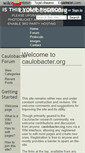 Mobile Screenshot of caulobacter.wikidot.com